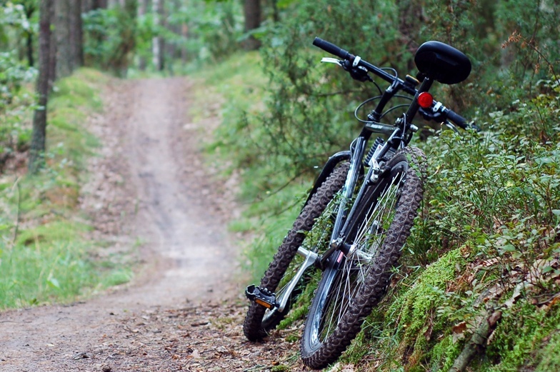 Controlling-erosion-on-a-well-used-bike-trail-case-study2.jpg