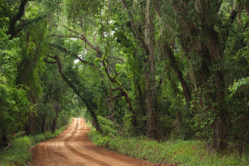 How Should Your Rural Community or Village Manage Its Unpaved Roads