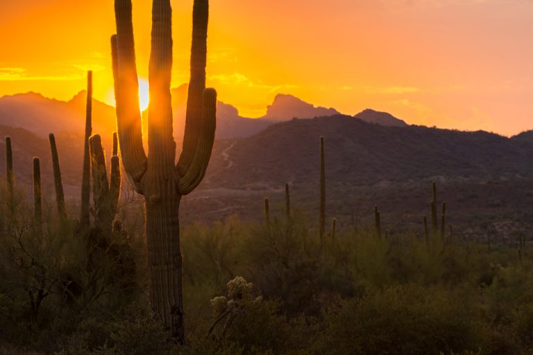 unpaved_roads_tucson_arizona Midwest Industrial Supply